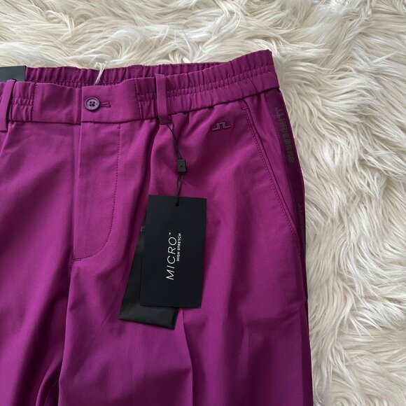 J. Lindeberg Stuart Men's 33x32 Side Stripe Golf Pant GMPA06876 Q266 Purple NEW - Picture 8 of 12